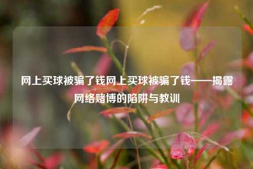 网上买球被骗了钱网上买球被骗了钱——揭露网络赌博的陷阱与教训