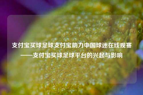 支付宝买球足球支付宝助力中国球迷在线观赛——支付宝买球足球平台的兴起与影响