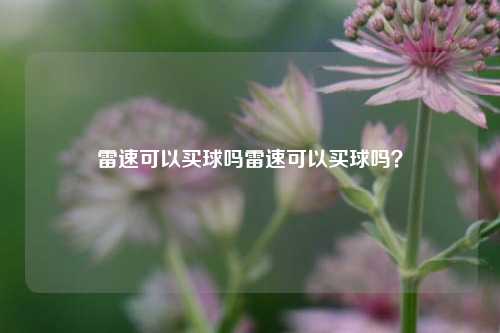 雷速可以买球吗雷速可以买球吗？
