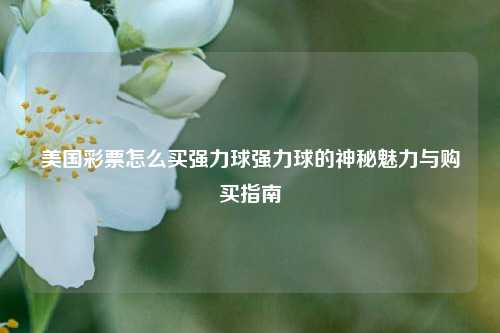 美国彩票怎么买强力球强力球的神秘魅力与购买指南