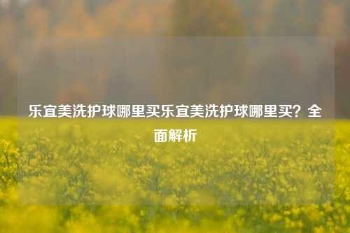 乐宜美洗护球哪里买乐宜美洗护球哪里买？全面解析