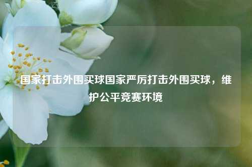 国家打击外围买球国家严厉打击外围买球，维护公平竞赛环境