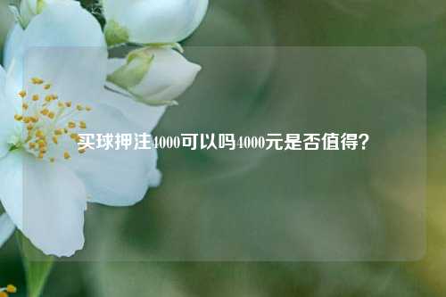 买球押注4000可以吗4000元是否值得？