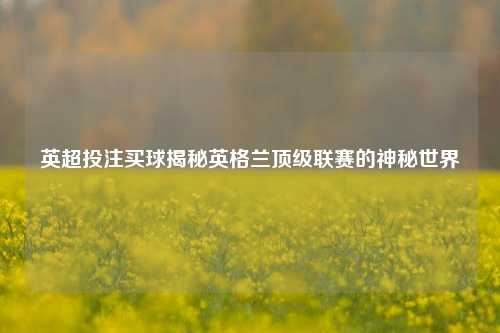 英超投注买球揭秘英格兰顶级联赛的神秘世界