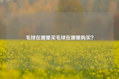 毛球在哪里买毛球在哪里购买？