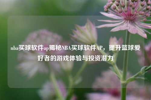 nba买球软件ap揭秘NBA买球软件AP，提升篮球爱好者的游戏体验与投资潜力