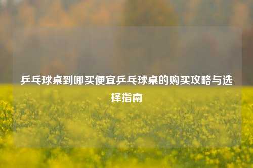 乒乓球桌到哪买便宜乒乓球桌的购买攻略与选择指南