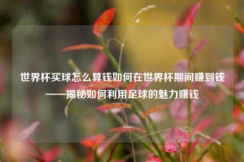 世界杯买球怎么算钱如何在世界杯期间赚到钱——揭秘如何利用足球的魅力赚钱