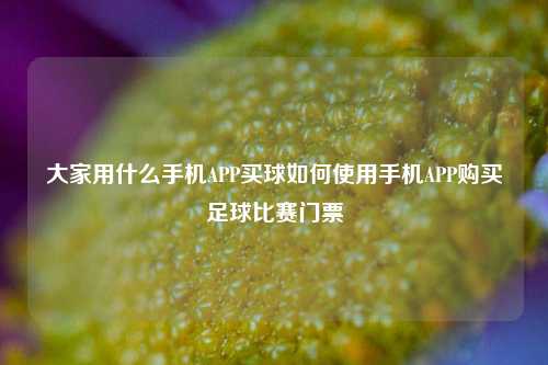大家用什么手机APP买球如何使用手机APP购买足球比赛门票