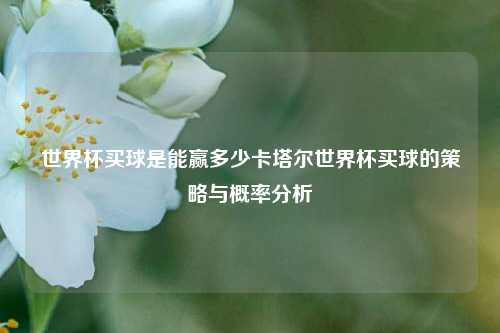 世界杯买球是能赢多少卡塔尔世界杯买球的策略与概率分析