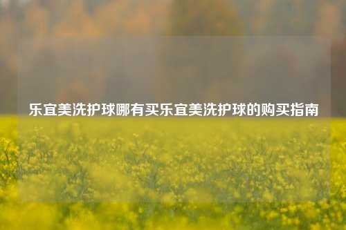 乐宜美洗护球哪有买乐宜美洗护球的购买指南