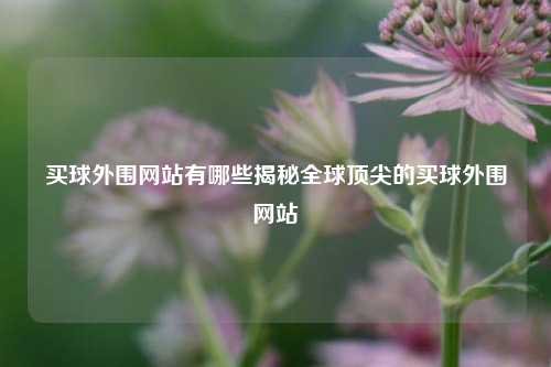 买球外围网站有哪些揭秘全球顶尖的买球外围网站