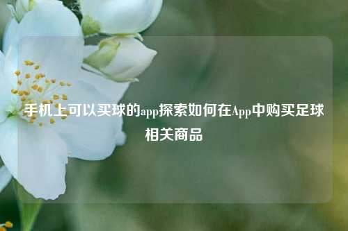 手机上可以买球的app探索如何在App中购买足球相关商品