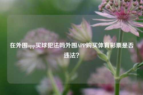 在外围app买球犯法吗外围APP购买体育彩票是否违法？