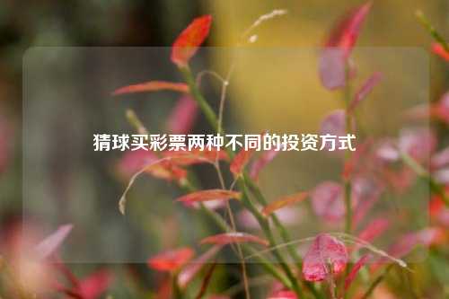 猜球买彩票两种不同的投资方式