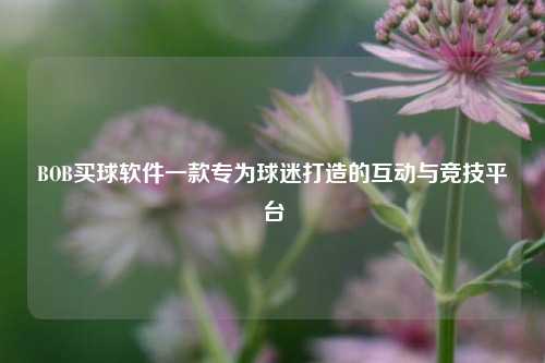 BOB买球软件一款专为球迷打造的互动与竞技平台