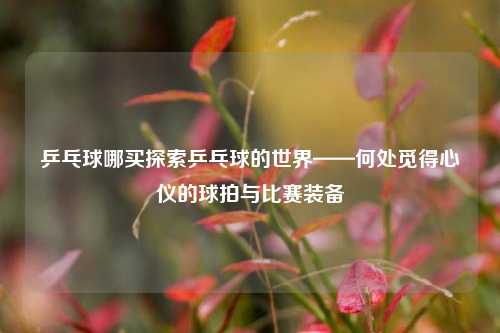 乒乓球哪买探索乒乓球的世界——何处觅得心仪的球拍与比赛装备