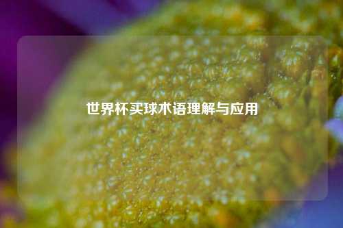 世界杯买球术语理解与应用