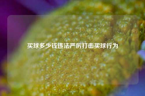 买球多少钱违法严厉打击买球行为