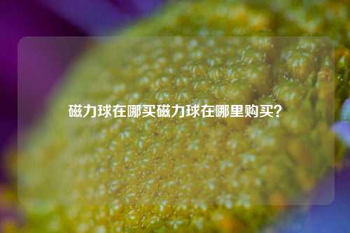 磁力球在哪买磁力球在哪里购买？