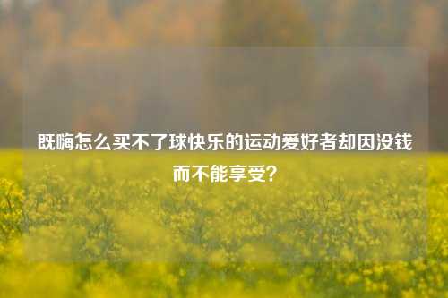 既嗨怎么买不了球快乐的运动爱好者却因没钱而不能享受？
