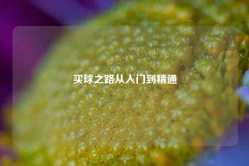 买球之路从入门到精通