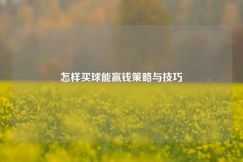 怎样买球能赢钱策略与技巧