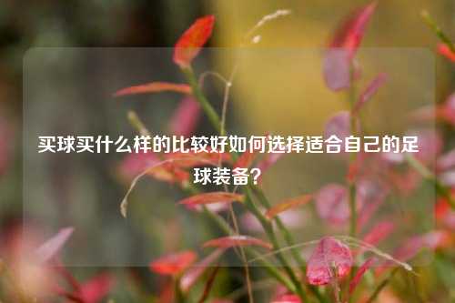 买球买什么样的比较好如何选择适合自己的足球装备？