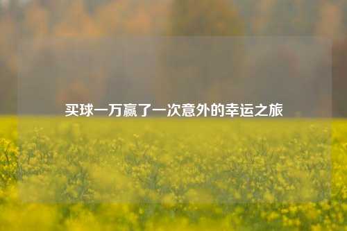 买球一万赢了一次意外的幸运之旅